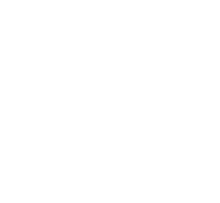 غطاسات النوافير